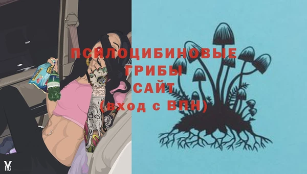 сатива Дмитровск
