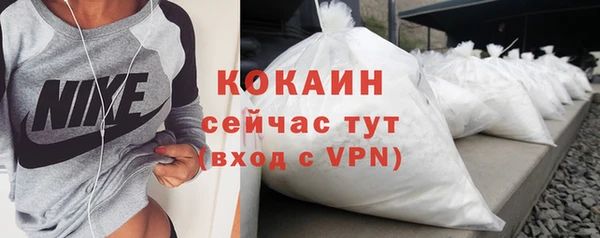 сатива Дмитровск