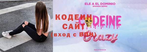 сатива Дмитровск