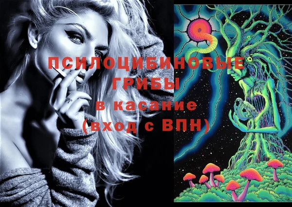 стафф Дмитров