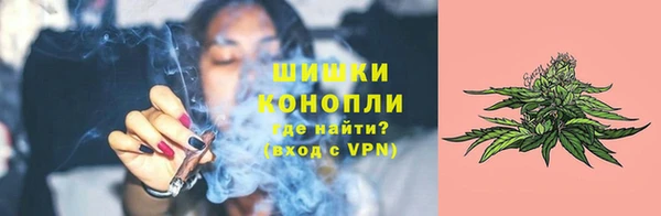 стафф Дмитров