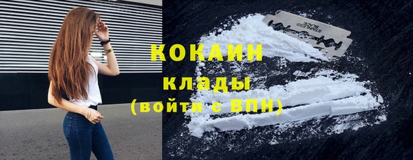 стафф Дмитров